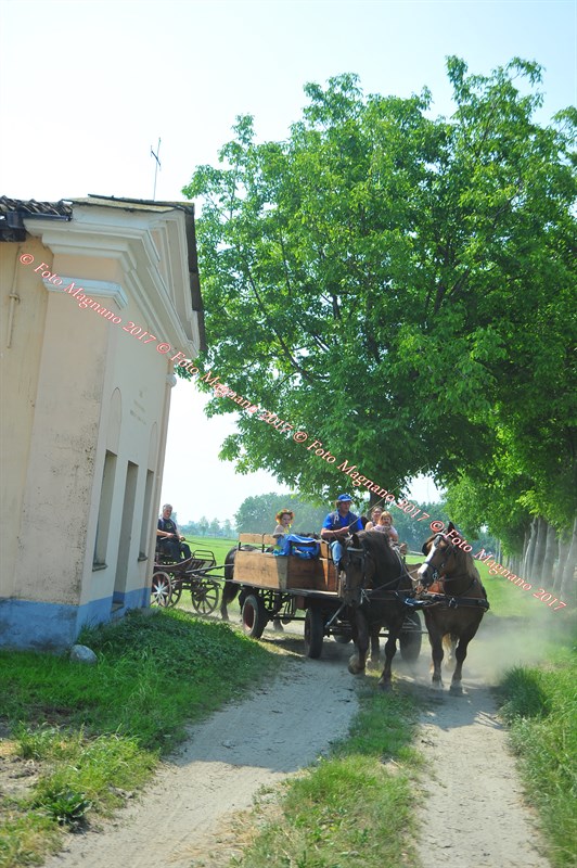 DSC_0846.JPG